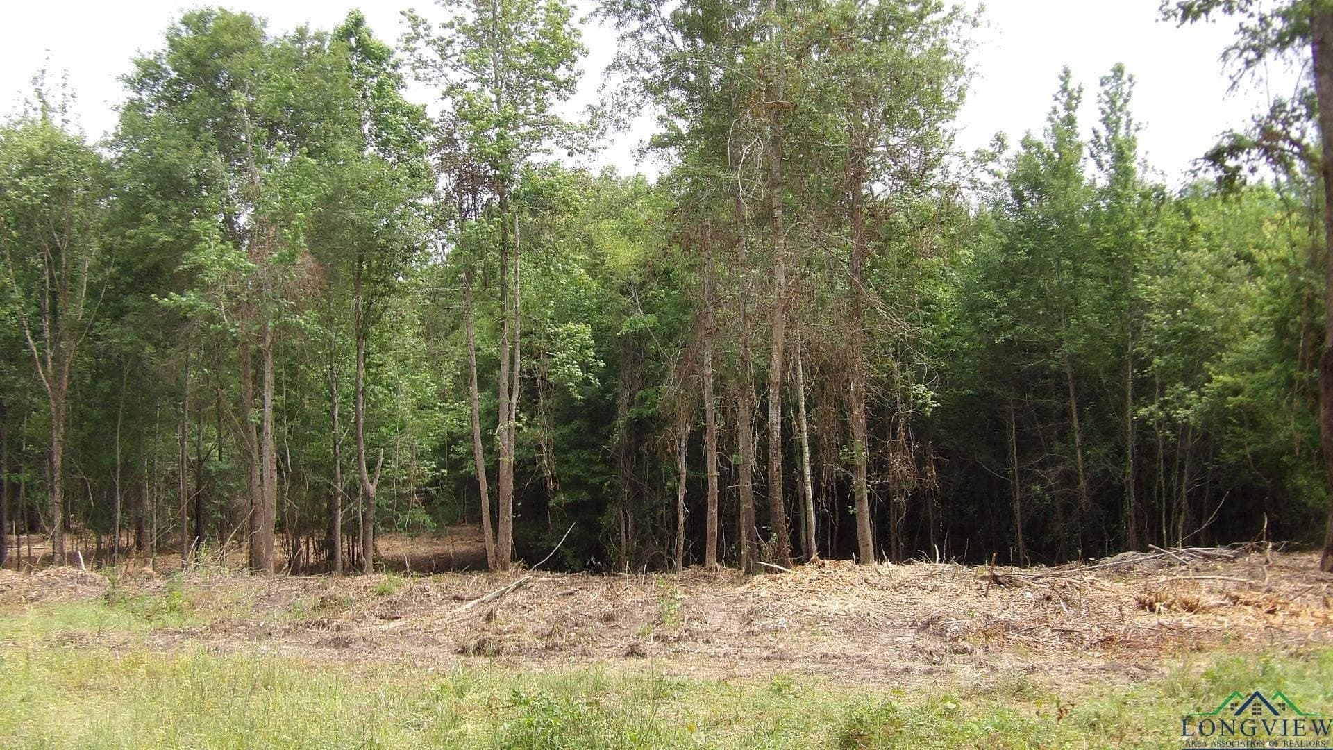 13 acres in Harrison County - photo 3