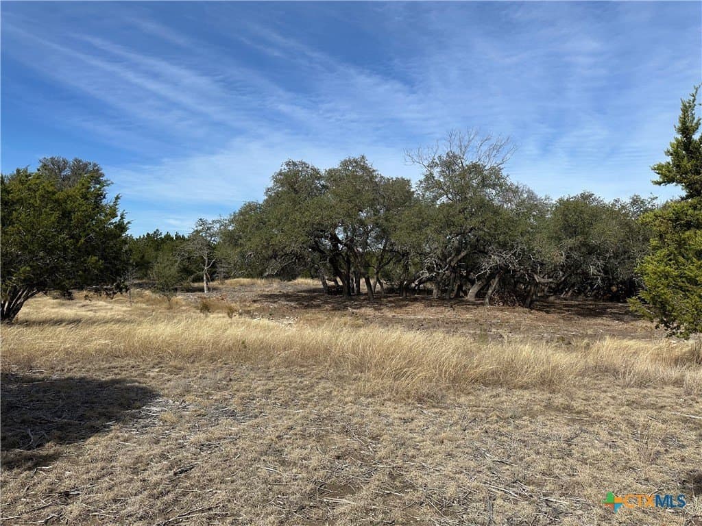 7.27 acres in Burnet County - photo 3