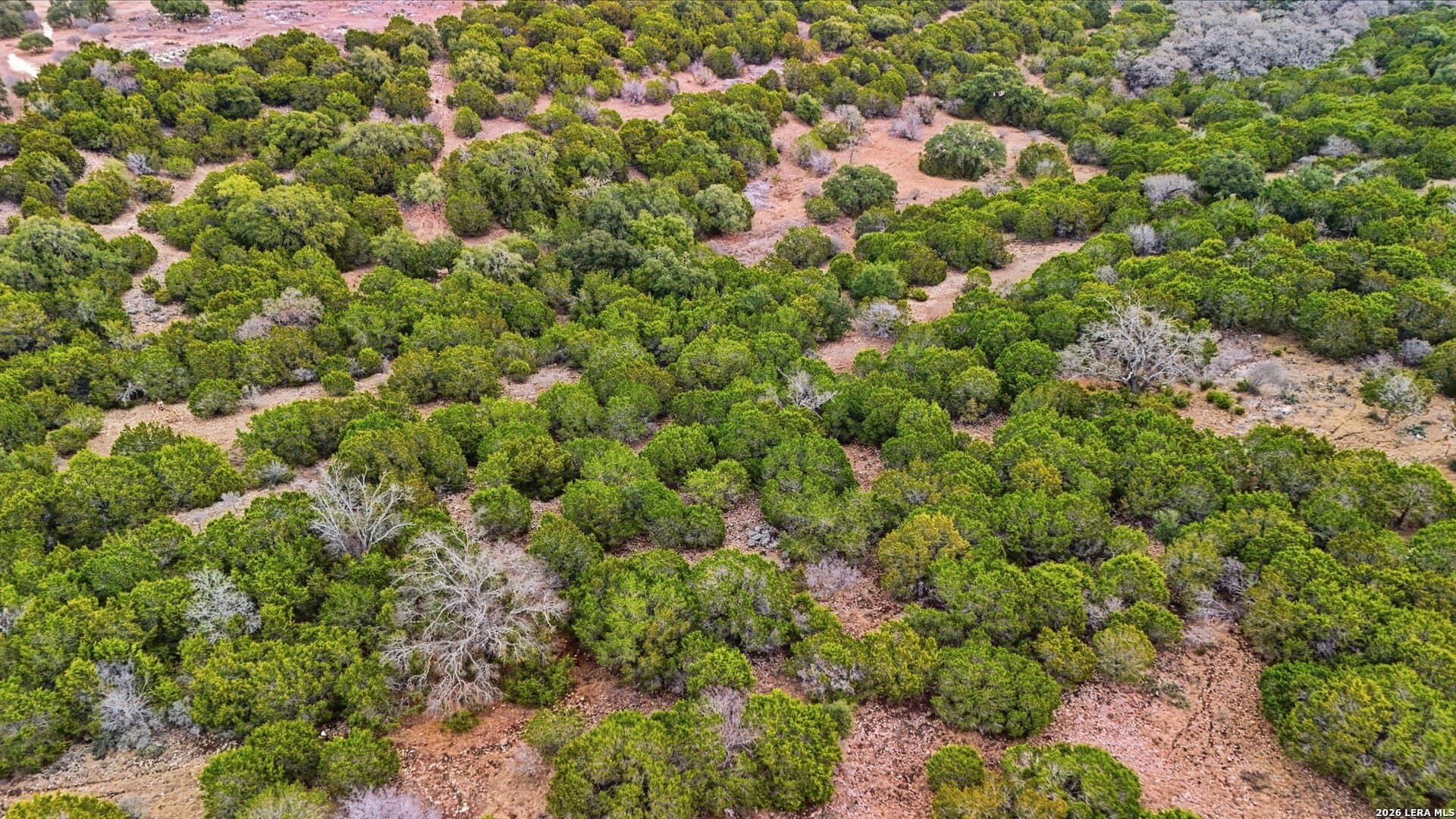 5 acres in Kendall County - photo 24