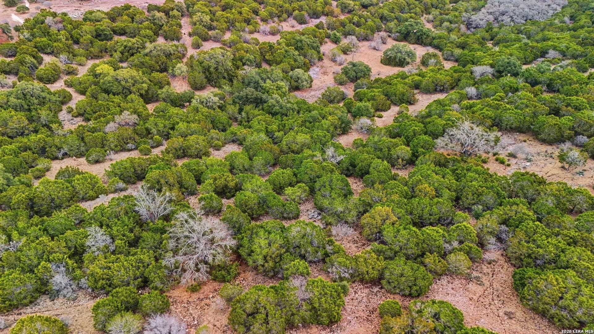 5 acres in Kendall County - photo 10