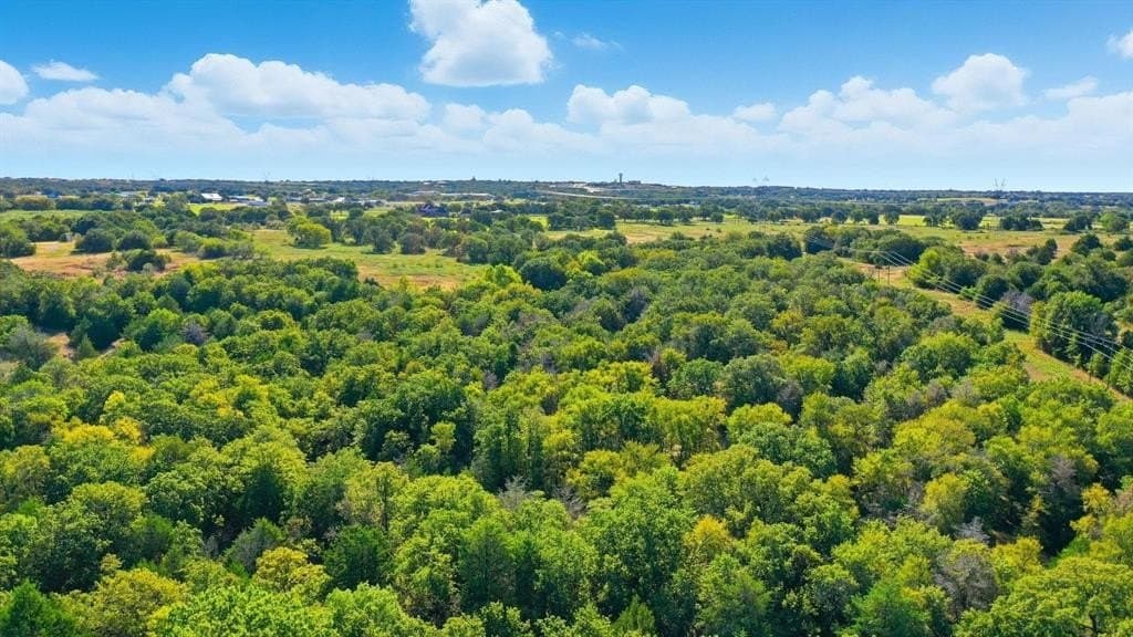 94.61 acres in Wise County - photo 33
