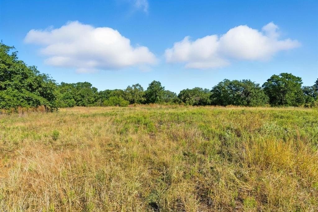 94.61 acres in Wise County - photo 30