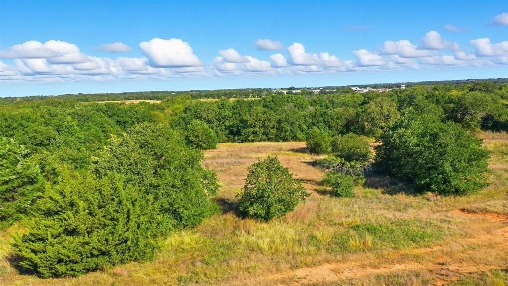 94.61 acres in Wise County - photo 14