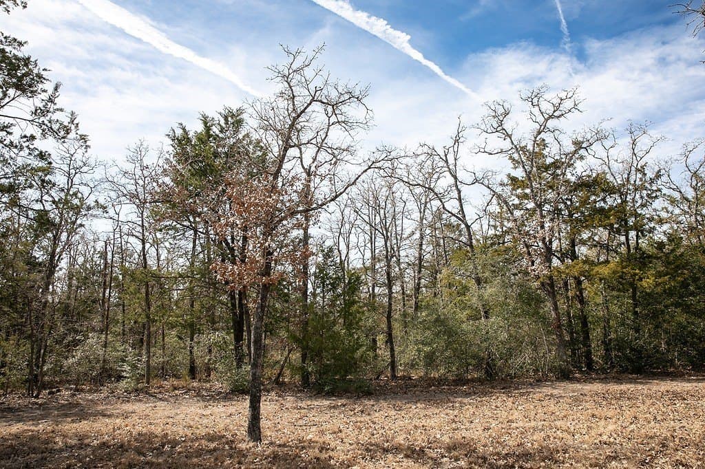 2.5 acres in Washington County - photo 18