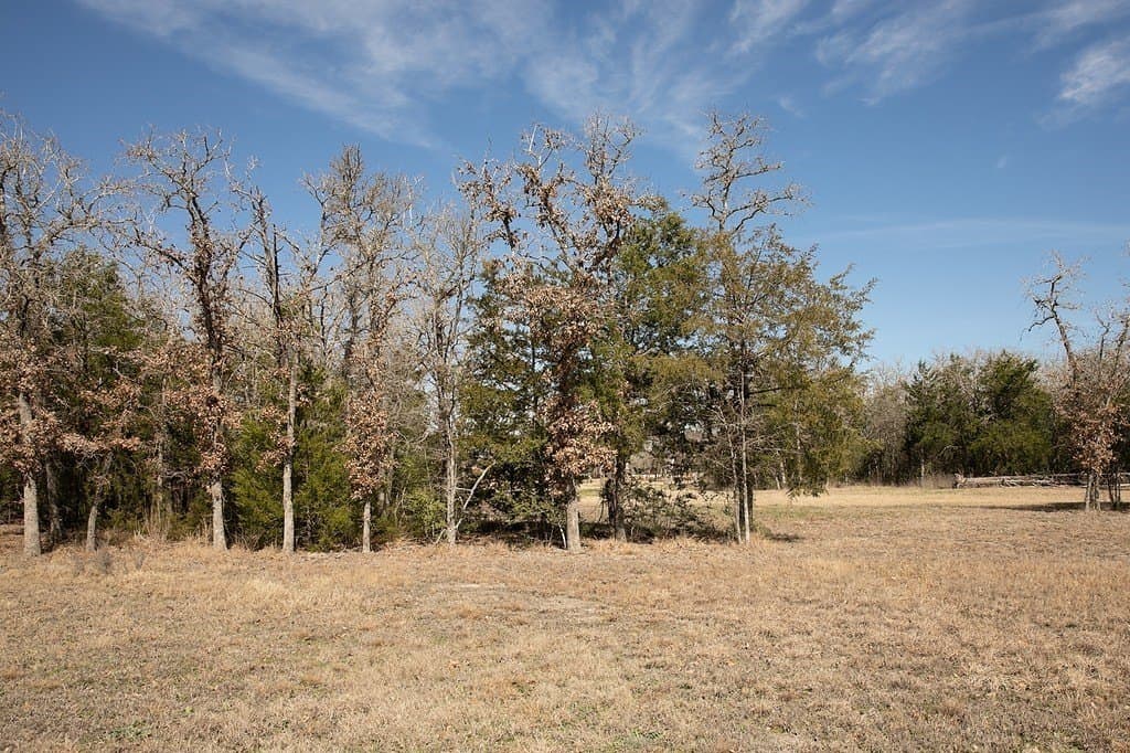 2.5 acres in Washington County - photo 16