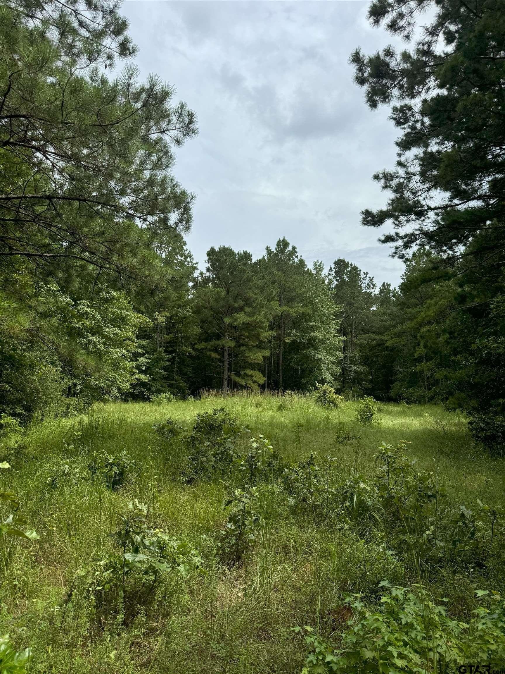 39.4 acres in Cherokee County - photo 3