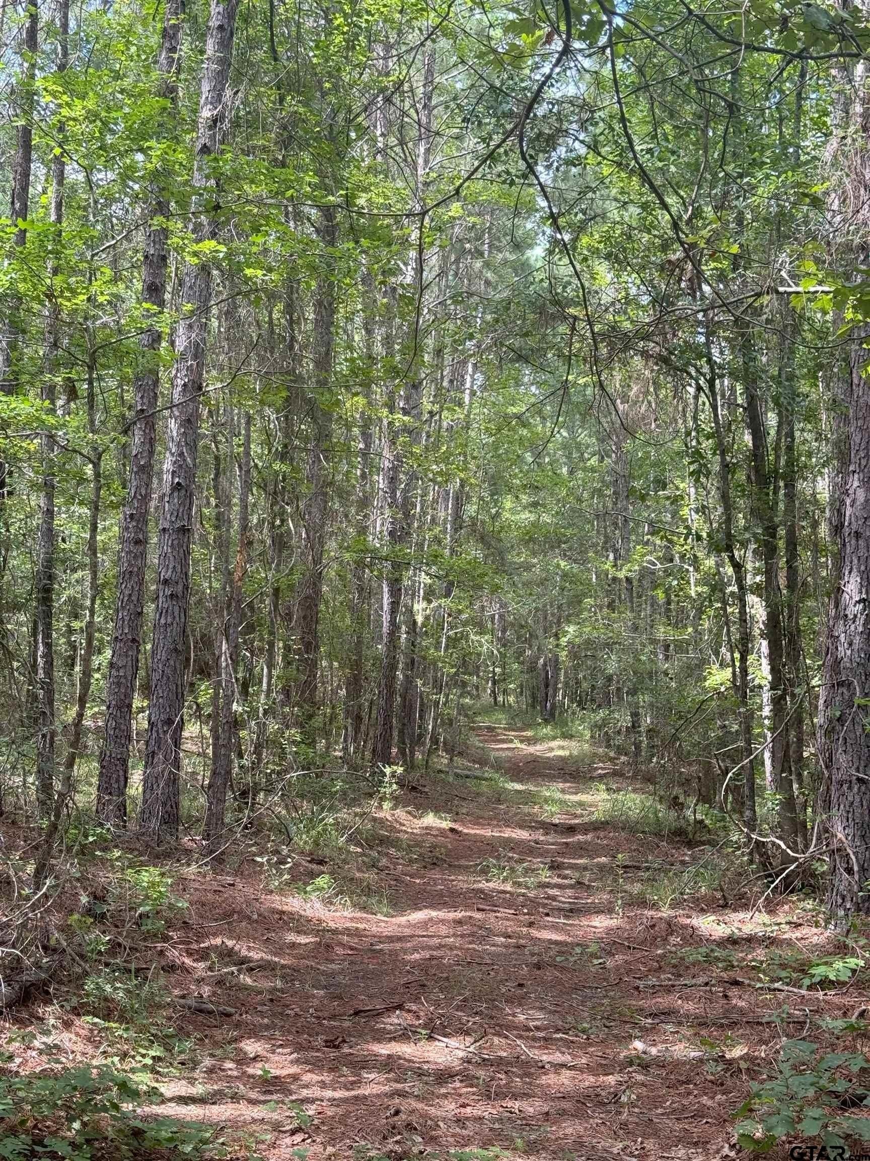 39.4 acres in Cherokee County - photo 4