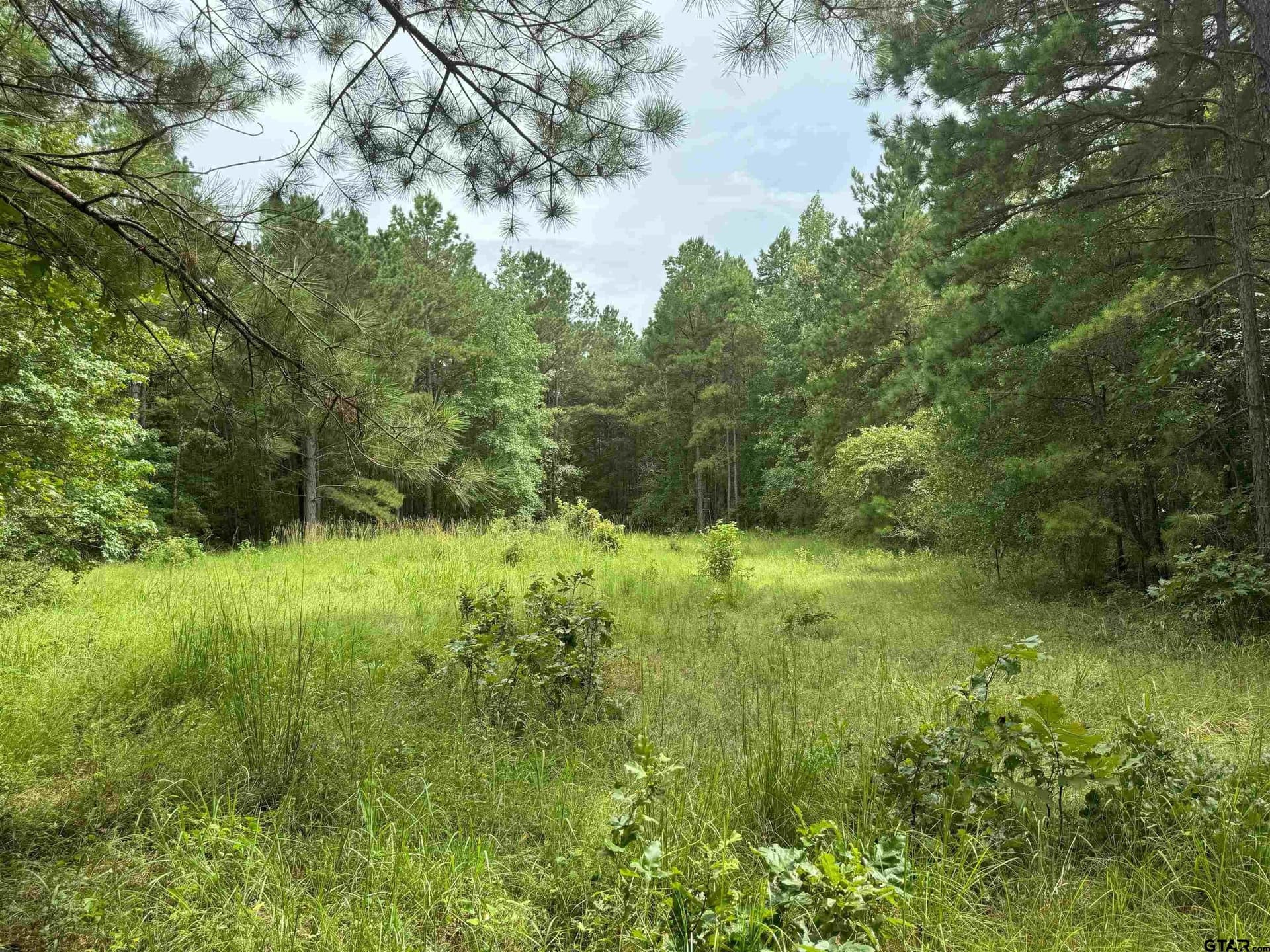 39.4 acres in Cherokee County - photo 2