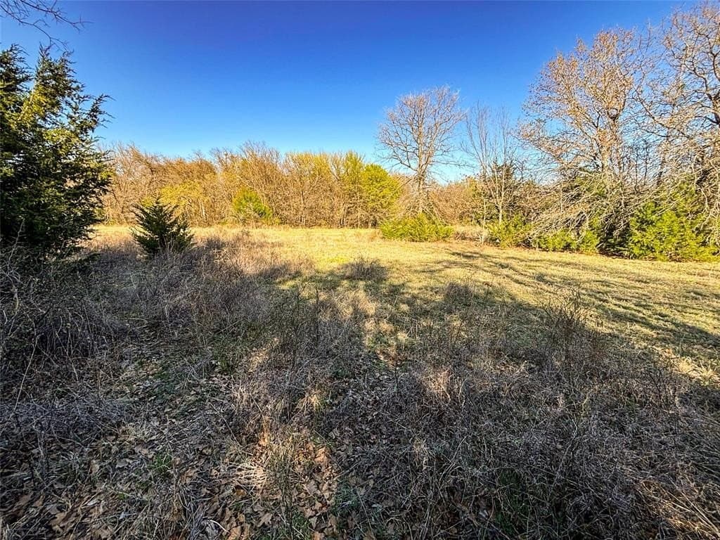 75 acres in Wise County - photo 31