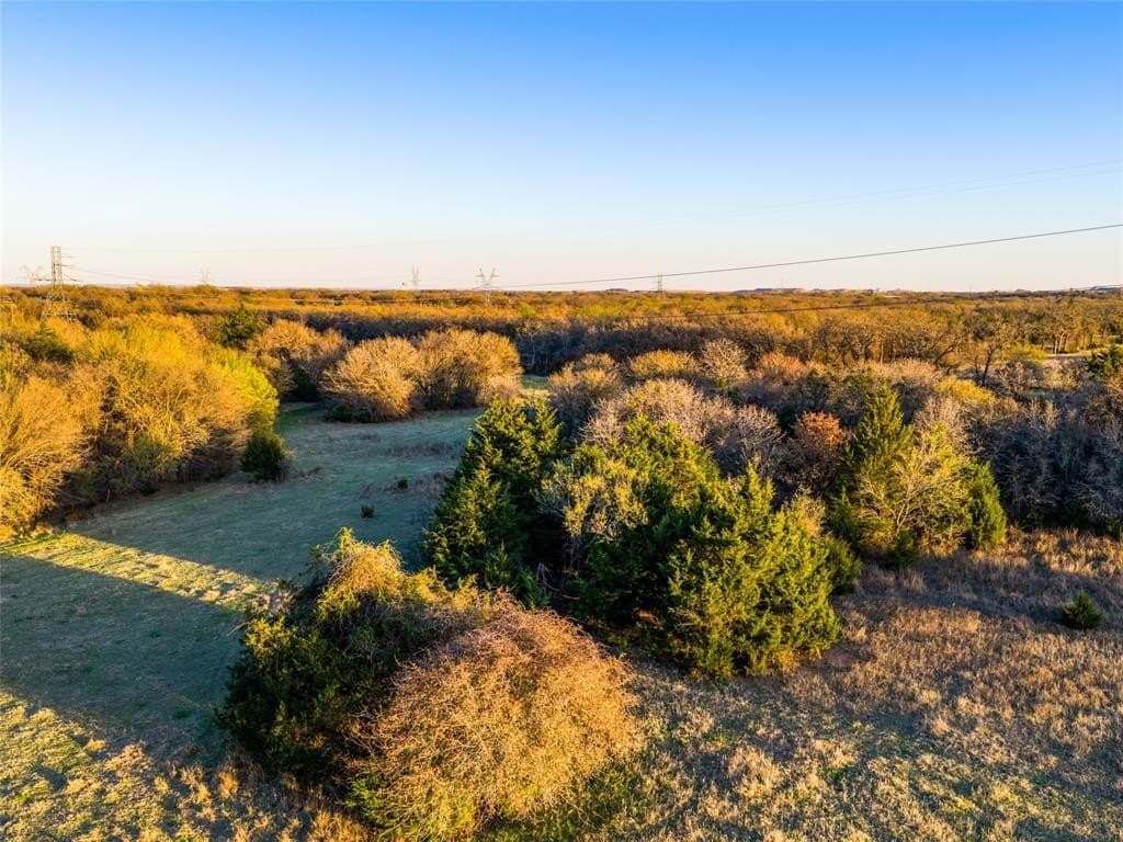 75 acres in Wise County - photo 6