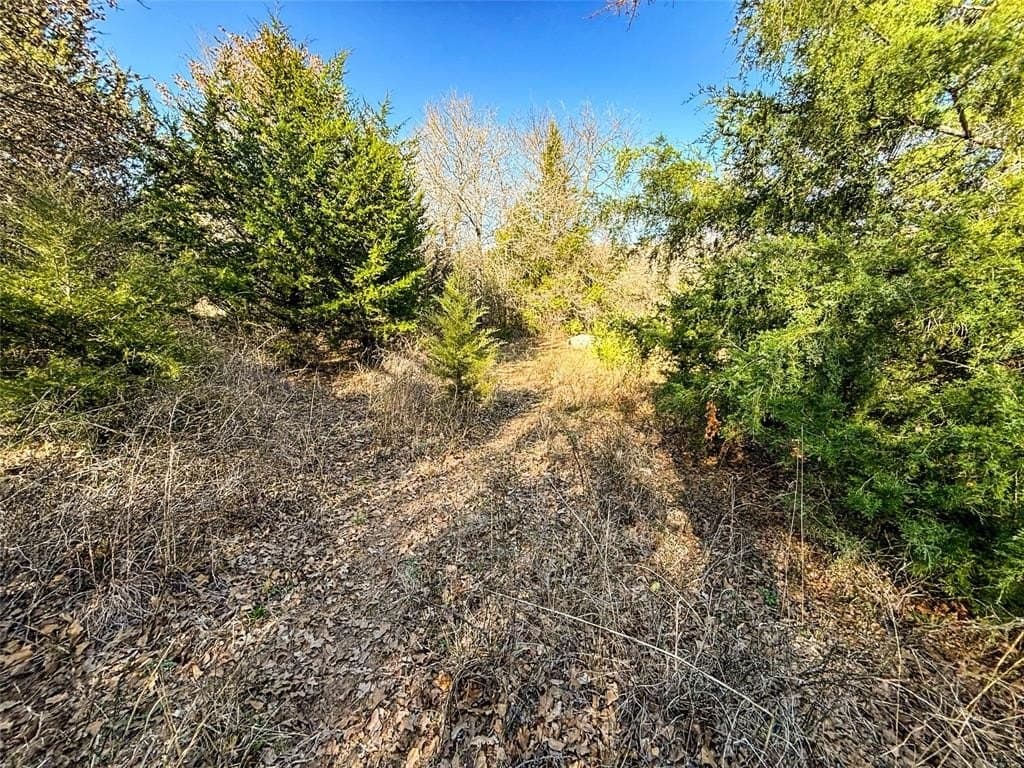 75 acres in Wise County - photo 30
