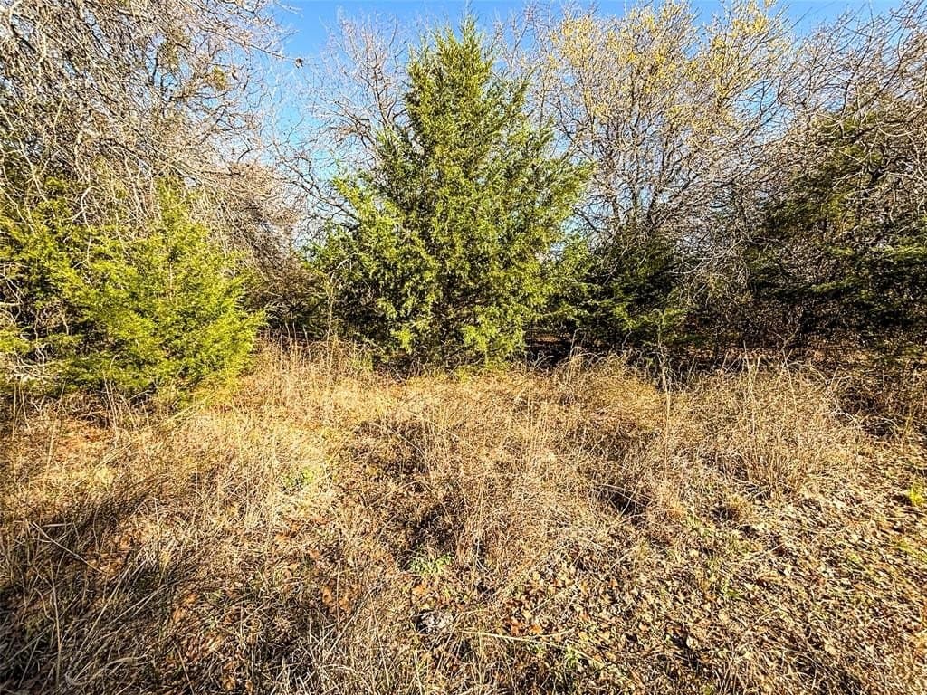 75 acres in Wise County - photo 29