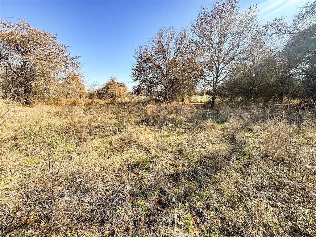 75 acres in Wise County - photo 28