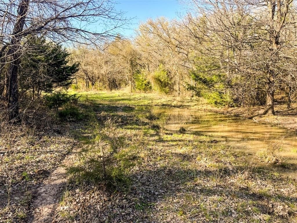75 acres in Wise County - photo 32