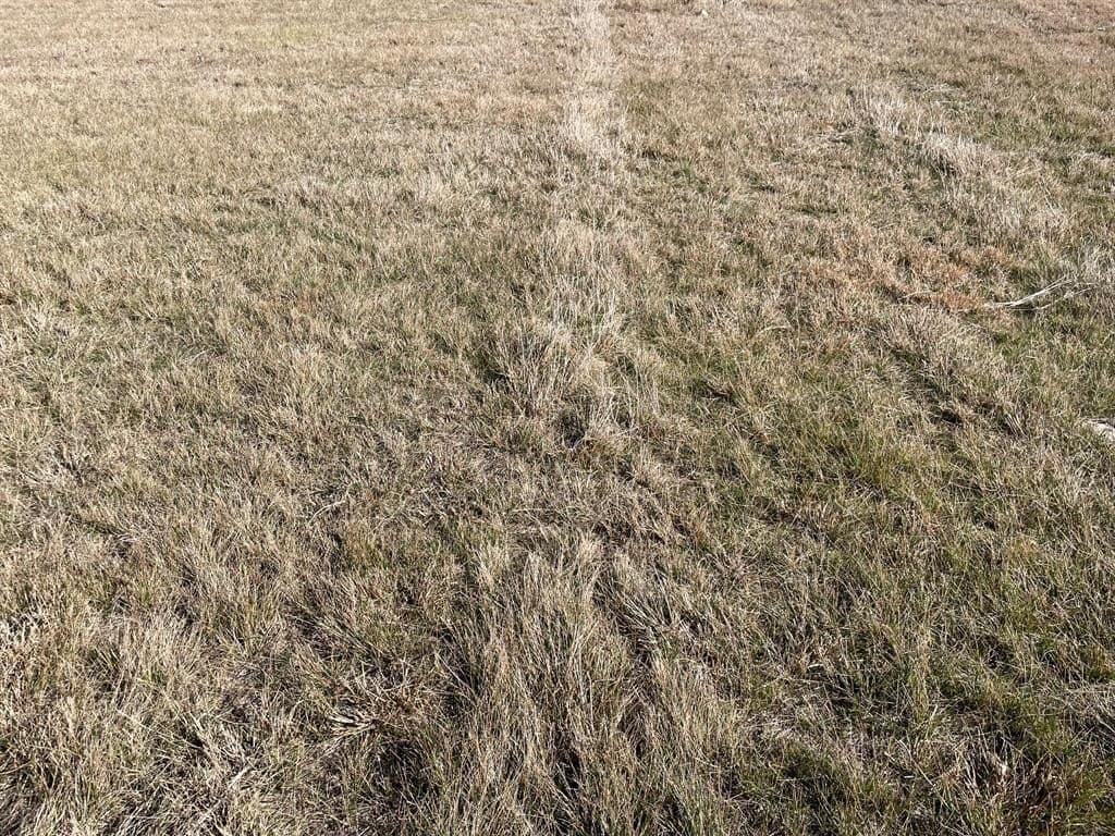 3.25 acres in Coryell County - photo 6