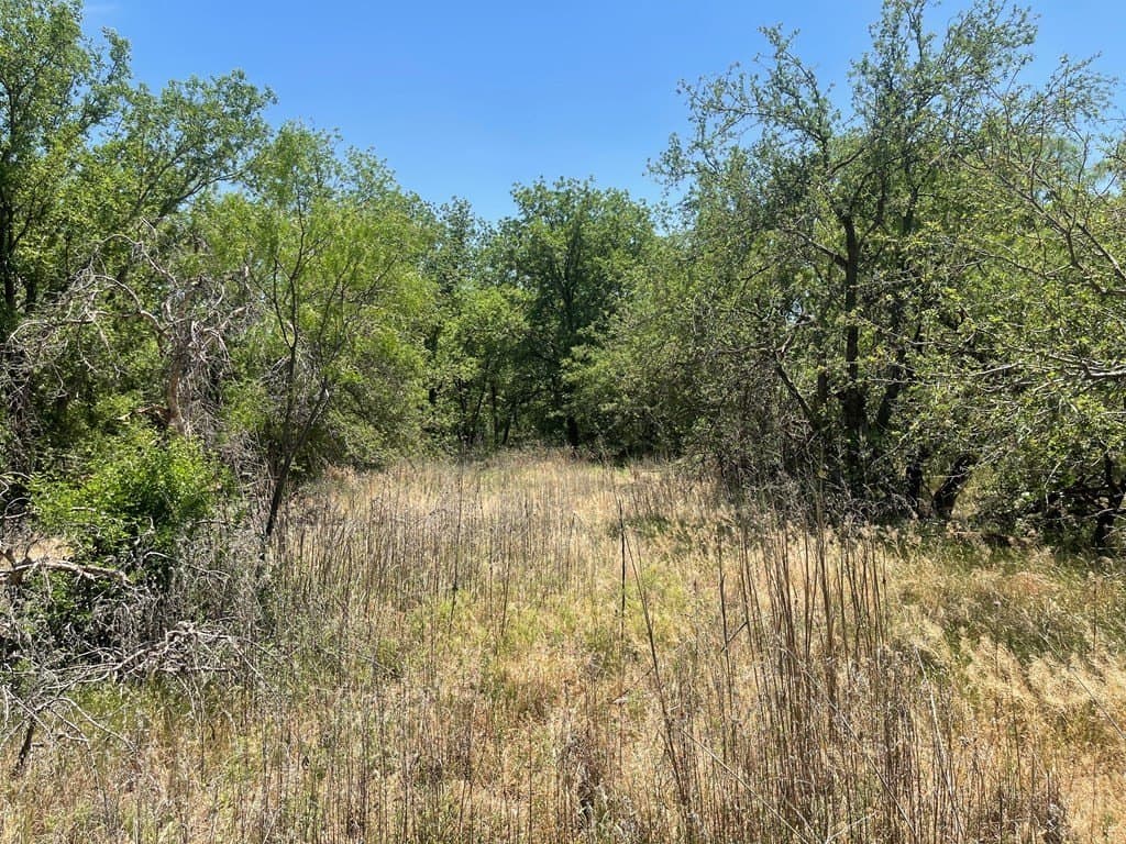 305.79 acres in Howard County - photo 9