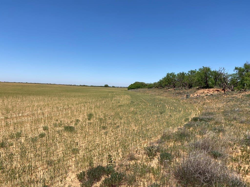 305.79 acres in Howard County - photo 18