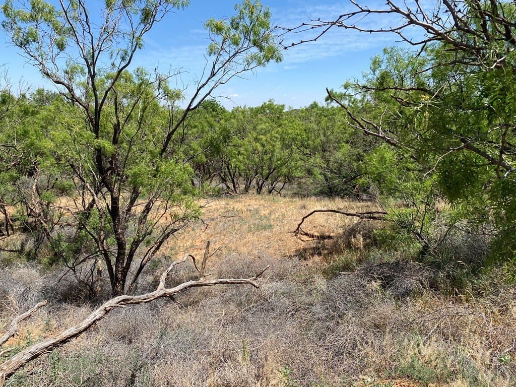305.79 acres in Howard County - photo 3