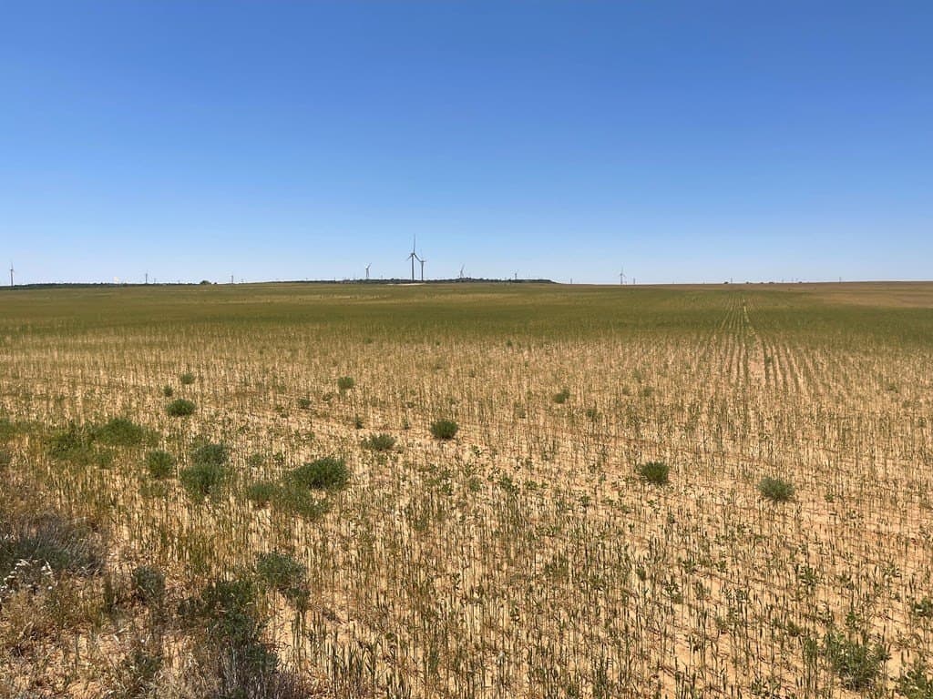 305.79 acres in Howard County - photo 16