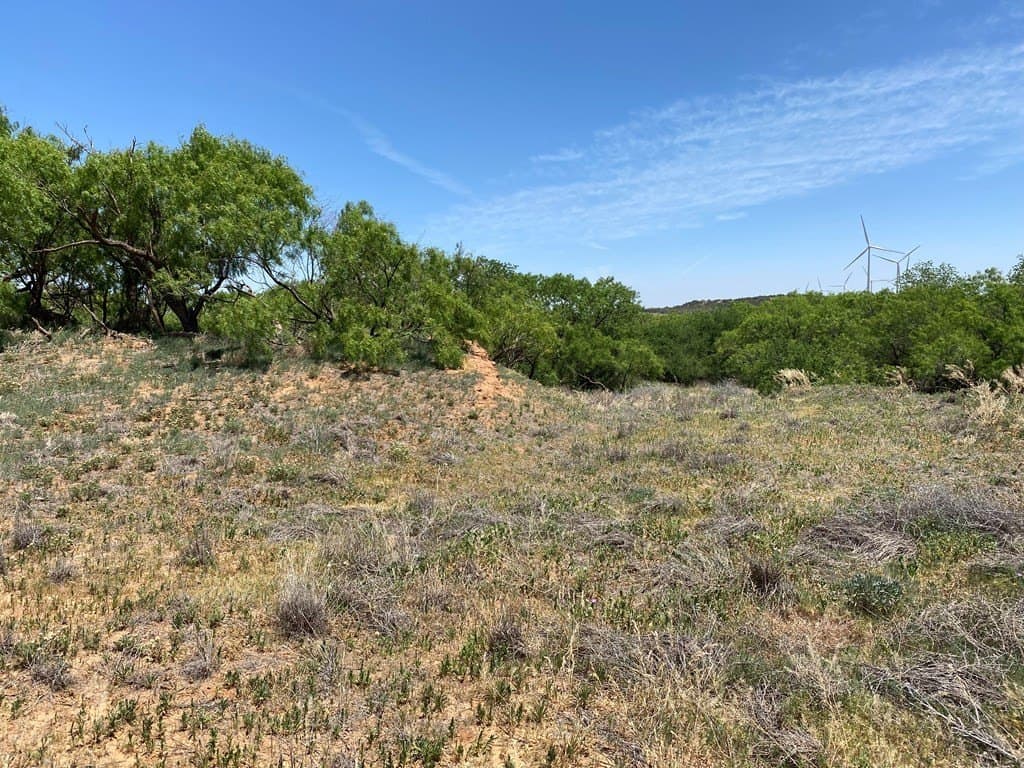 305.79 acres in Howard County - photo 4