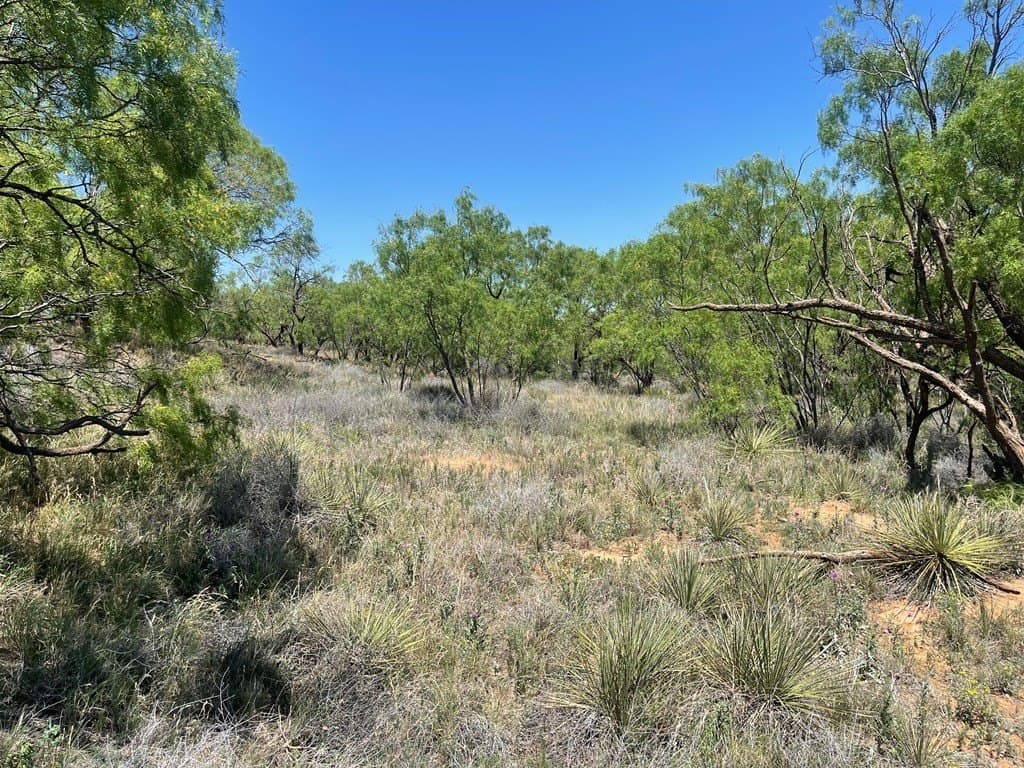 305.79 acres in Howard County - photo 7