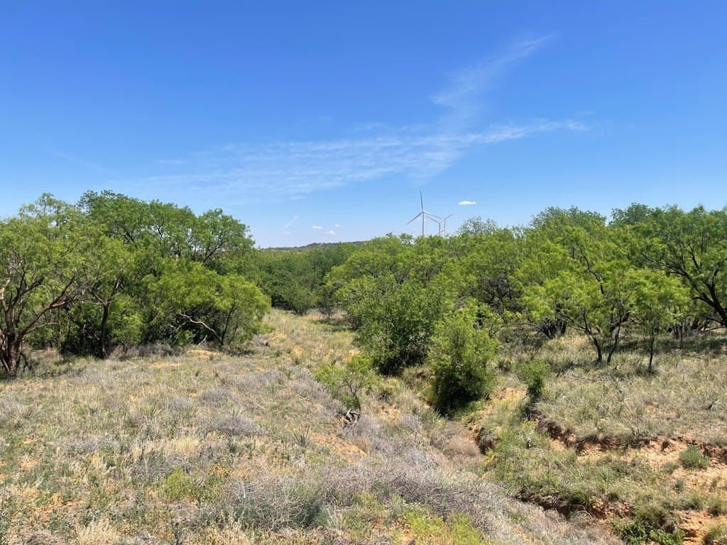 305.79 acres in Howard County - photo 2