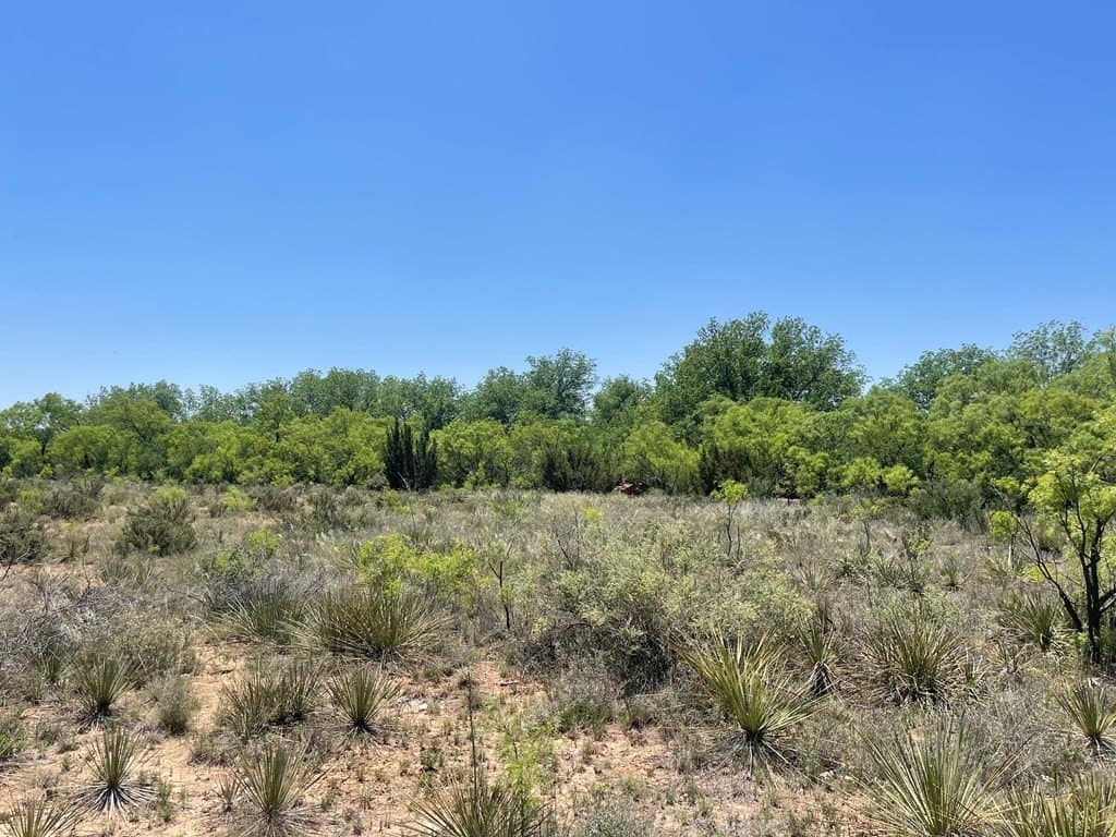 305.79 acres in Howard County - photo 6