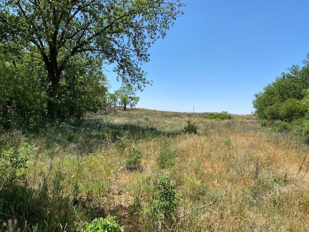305.79 acres in Howard County - photo 8