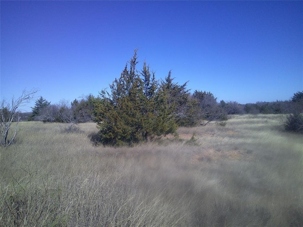 11.01 acres in Wise County - photo 3