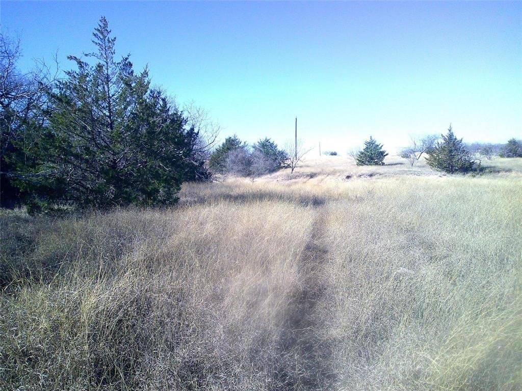 11.01 acres in Wise County - photo 5
