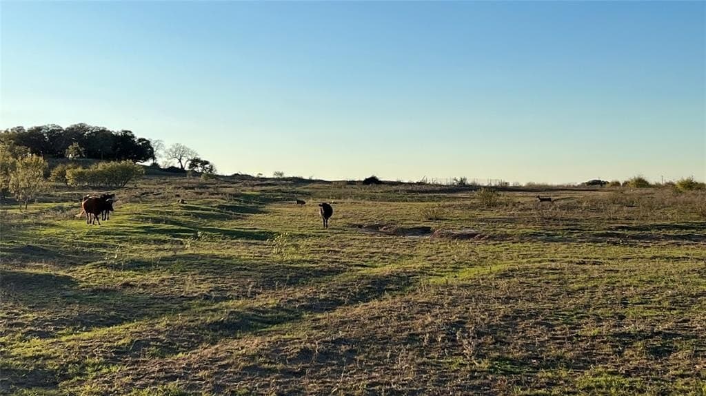 20.03 acres in Mills County - photo 5