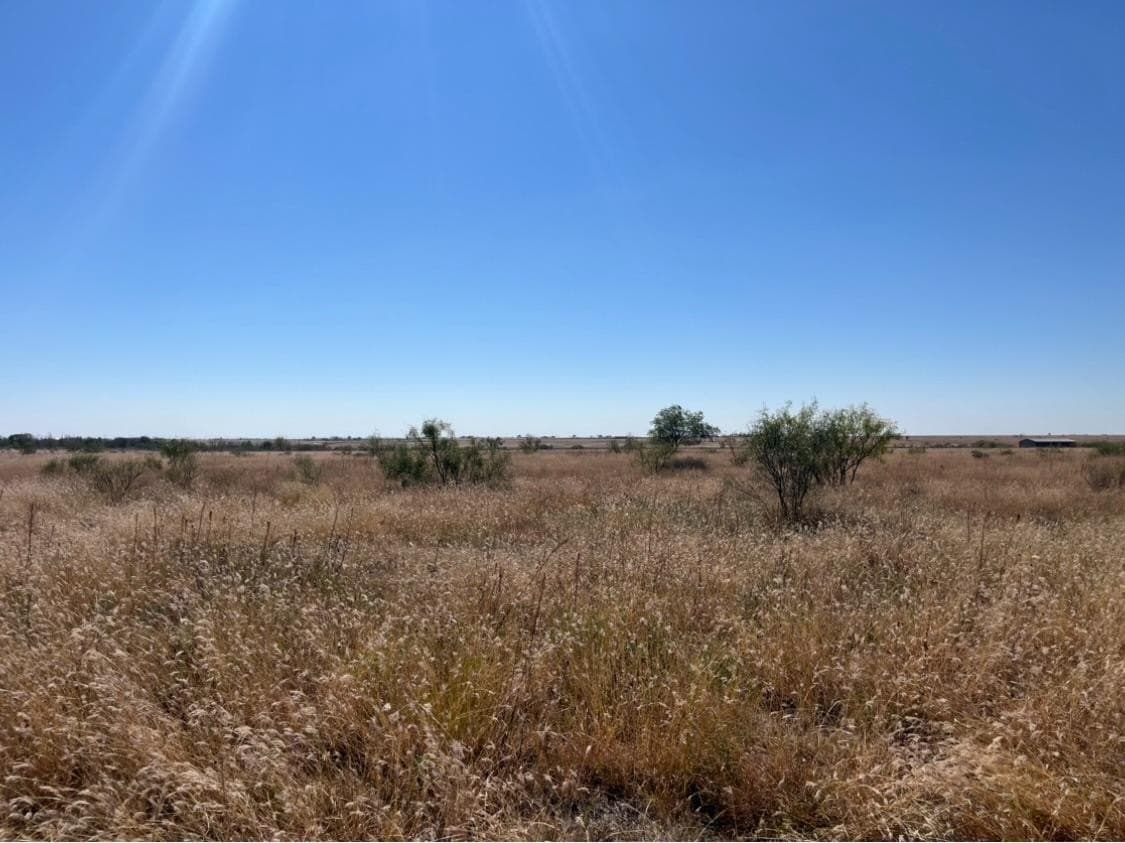 107.33 acres in Lubbock County - photo 3