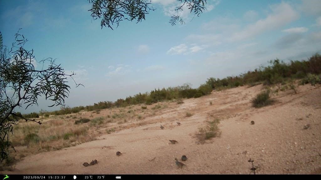 34 acres in Howard County - photo 6