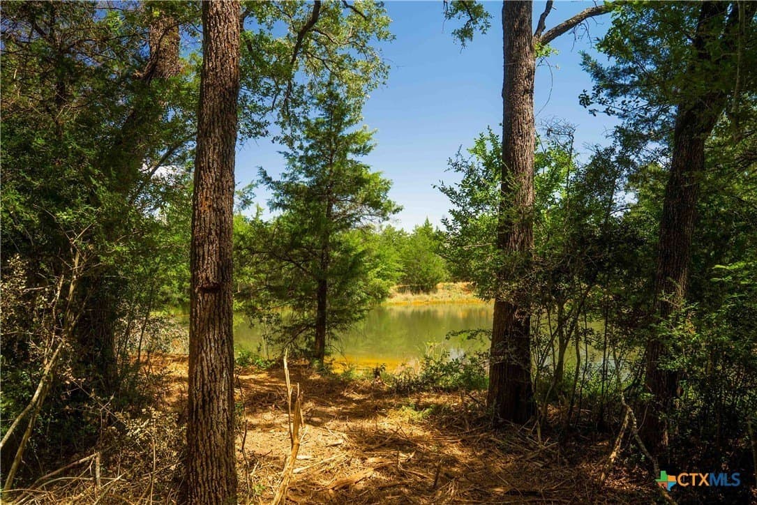 10 acres in Robertson County - photo 4