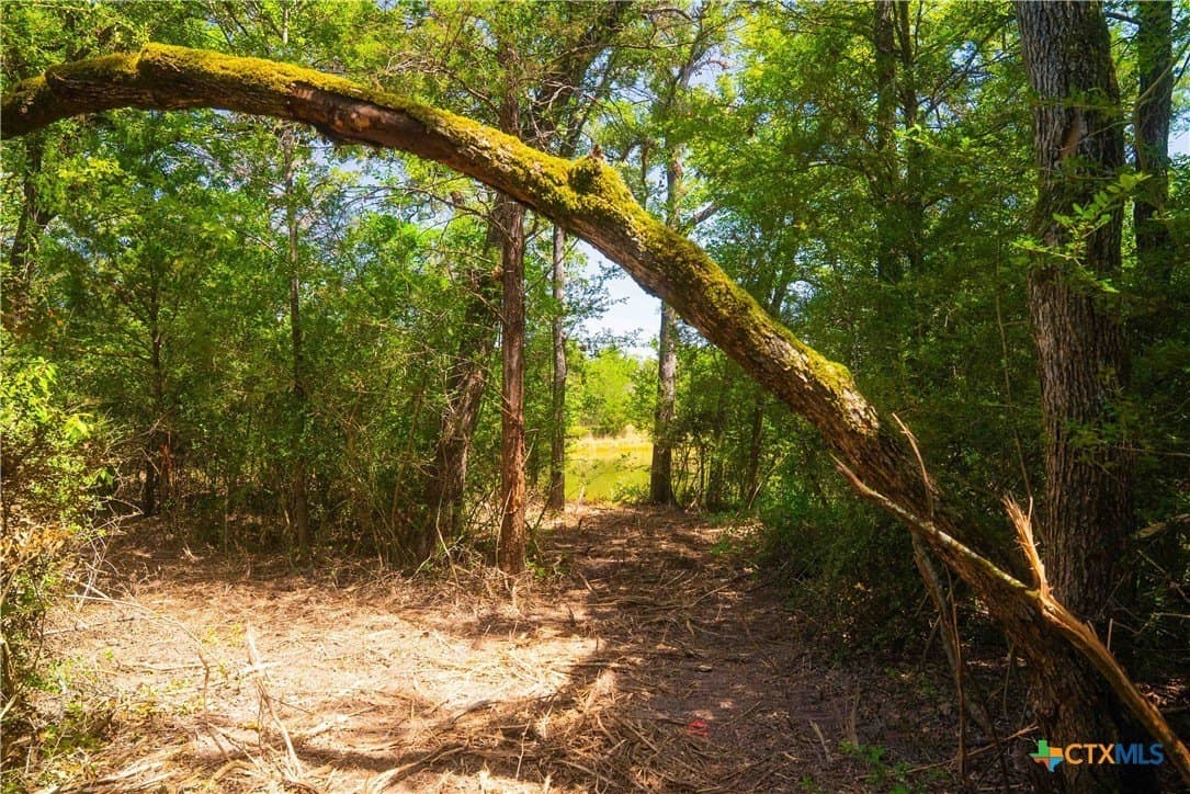10 acres in Robertson County - photo 5