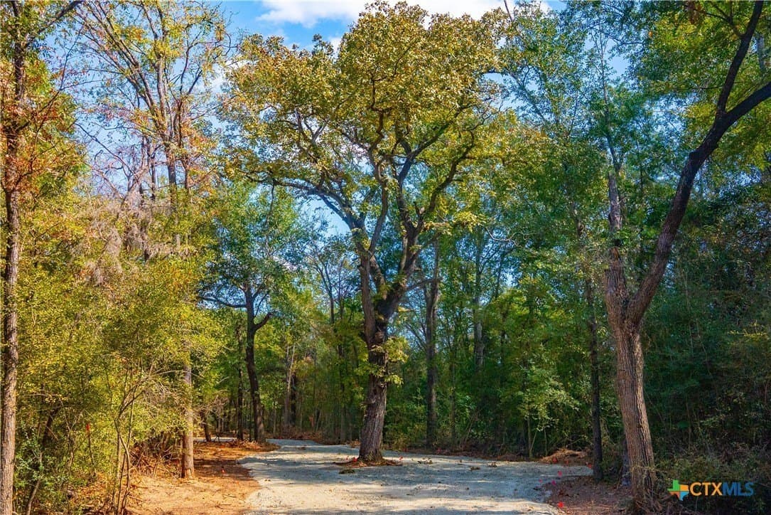 10 acres in Robertson County - photo 10