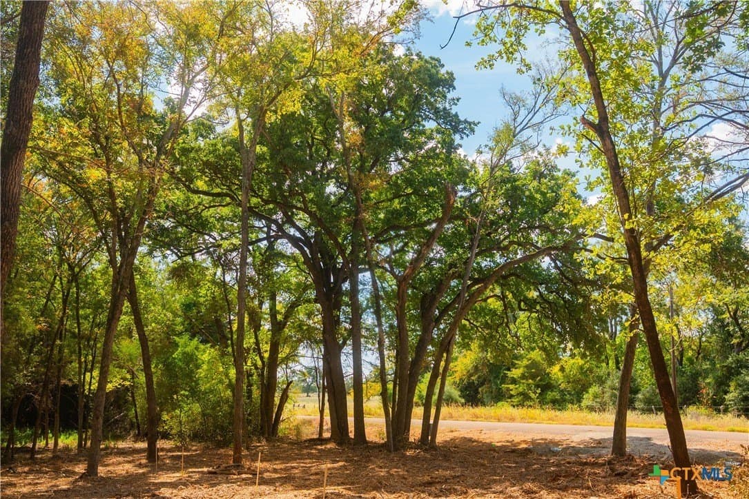10 acres in Robertson County - photo 8