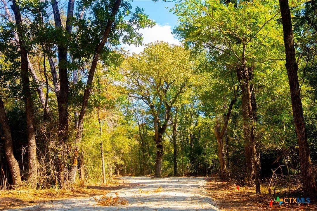 10 acres in Robertson County - photo 3