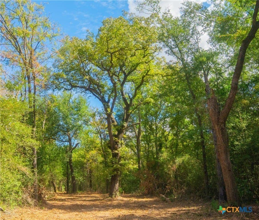 10 acres in Robertson County - photo 6