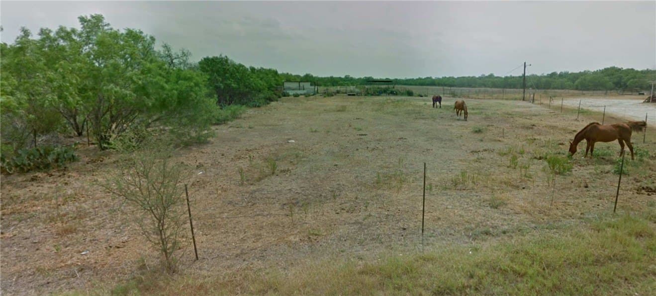 10 acres in Atascosa County - photo 6