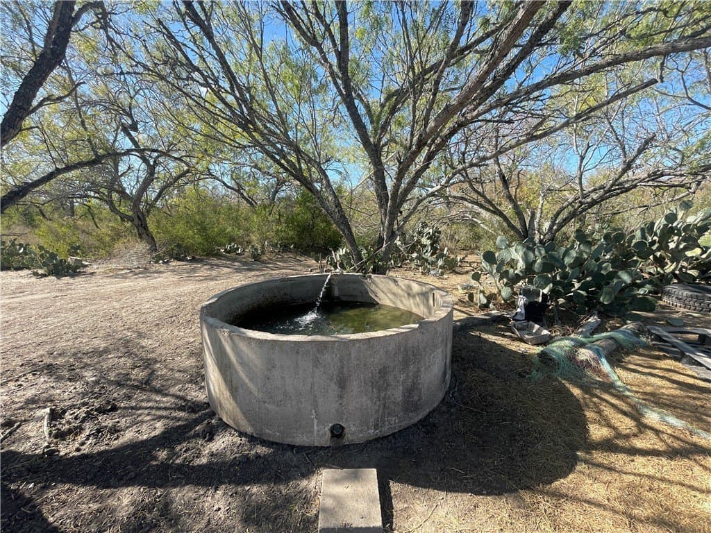 10 acres in Atascosa County - photo 5