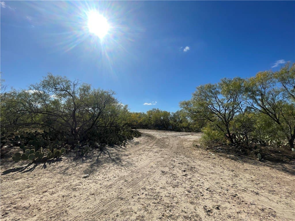 10 acres in Atascosa County - photo 3