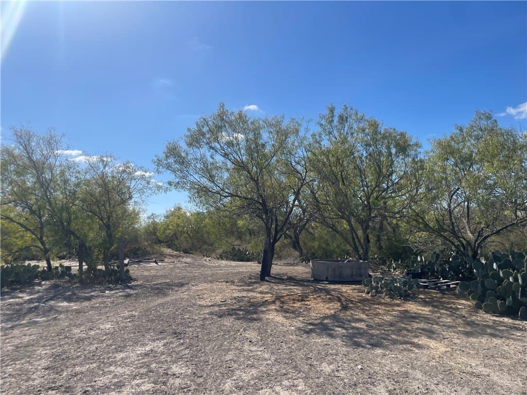 10 acres in Atascosa County - photo 2
