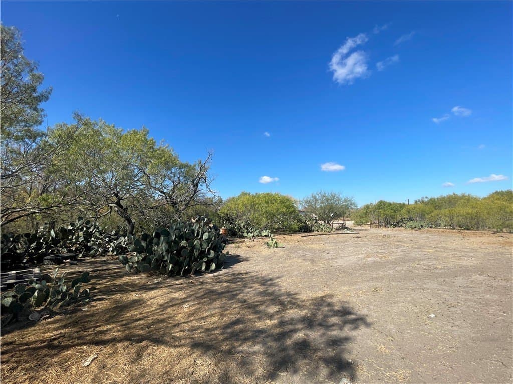 10 acres in Atascosa County - photo 4