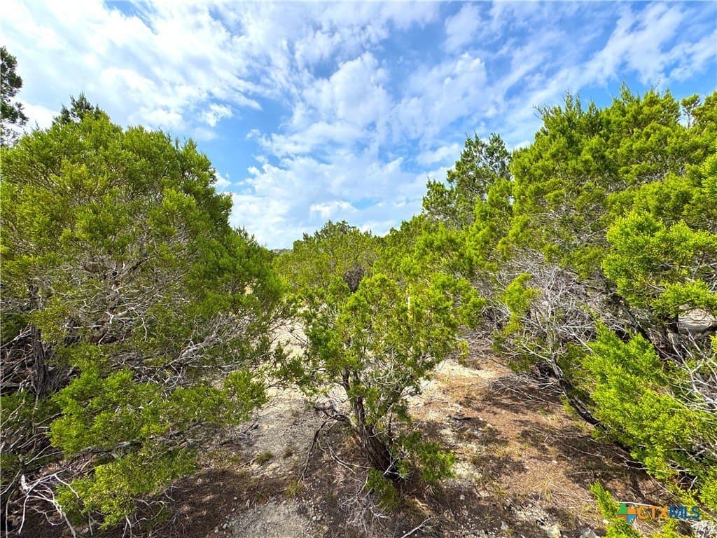 0.99 acres in Comal County - photo 13