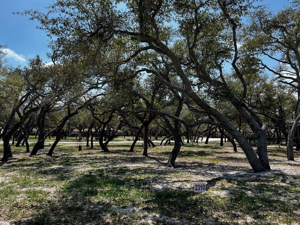 0 acres in Aransas County - photo 2