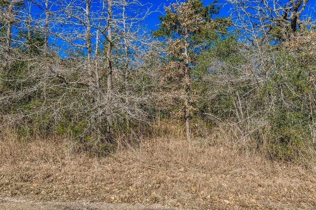 6.28 acres in Burleson County - photo 3