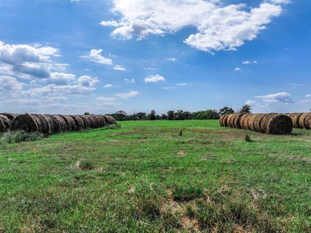 37.5 acres in Wood County - photo 26