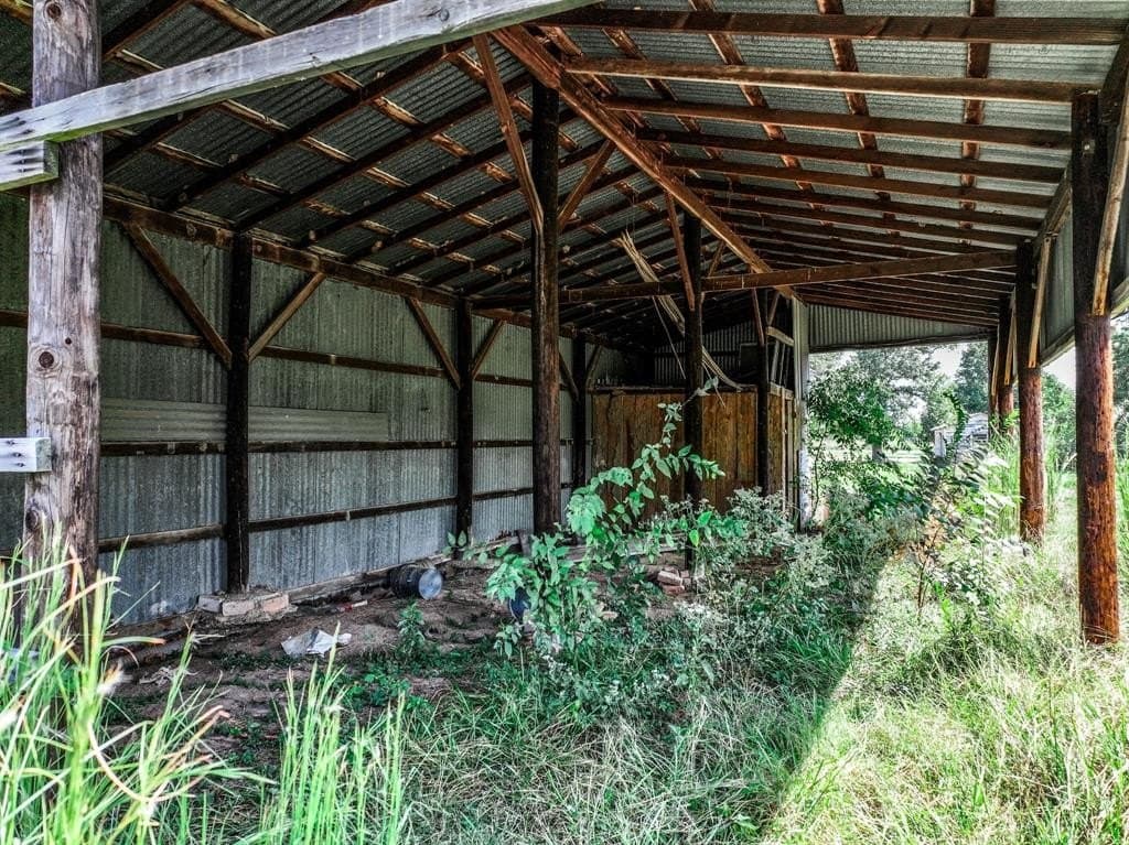 37.5 acres in Wood County - photo 6