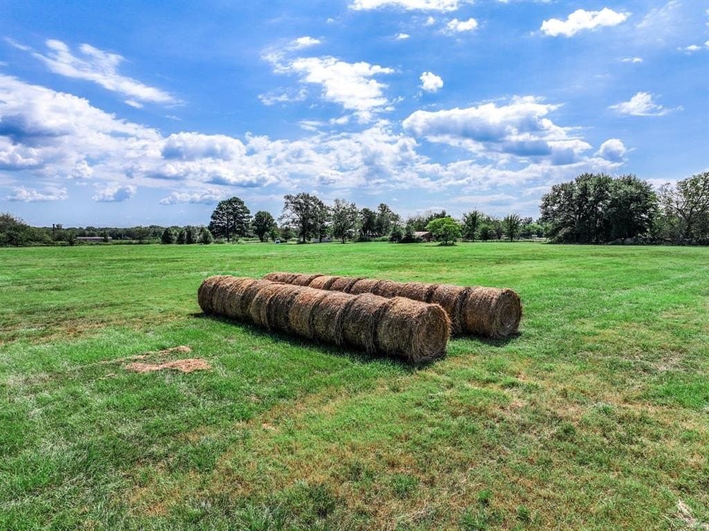 37.5 acres in Wood County - photo 17
